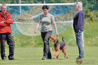 Ein Bild, das Gras, drauen, Person, Sportspiele enthlt.

Automatisch generierte Beschreibung