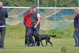 Ein Bild, das Gras, Zaun, drauen, Hund enthlt.

Automatisch generierte Beschreibung