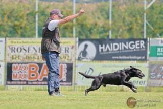 Ein Bild, das Text, Gras, drauen, Hund enthlt.

Automatisch generierte Beschreibung