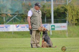 Ein Bild, das Gras, drauen, Hund, Sugetier enthlt.

Automatisch generierte Beschreibung