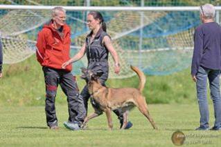 Ein Bild, das Gras, drauen, Person, Sportspiele enthlt.

Automatisch generierte Beschreibung