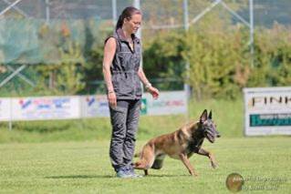 Ein Bild, das Gras, drauen, Hund, Feld enthlt.

Automatisch generierte Beschreibung