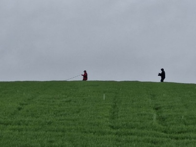 Ein Bild, das Gras, drauen, Himmel, Natur enthlt.

KI-generierte Inhalte knnen fehlerhaft sein.