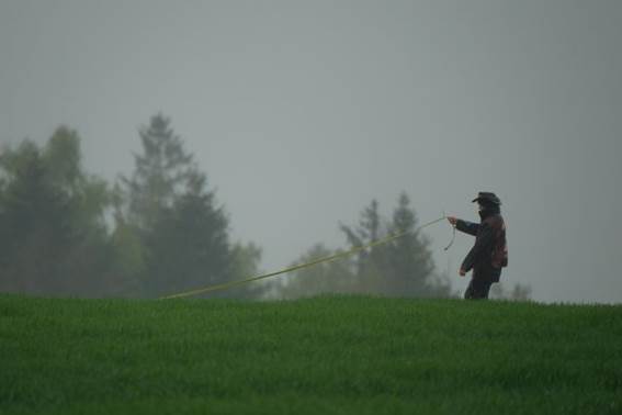 Ein Bild, das Gras, drauen, Nebel, Feld enthlt.

KI-generierte Inhalte knnen fehlerhaft sein.