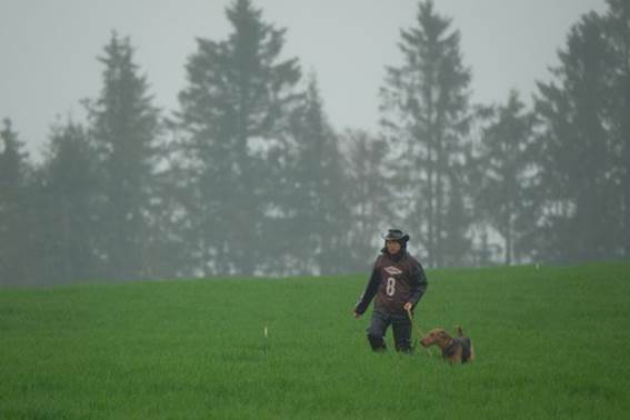Ein Bild, das Gras, drauen, Nebel, Baum enthlt.

KI-generierte Inhalte knnen fehlerhaft sein.
