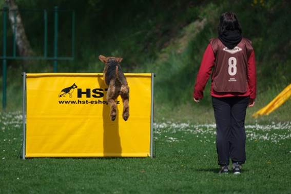 Ein Bild, das Gras, drauen, Baum, Kleidung enthlt.

KI-generierte Inhalte knnen fehlerhaft sein.