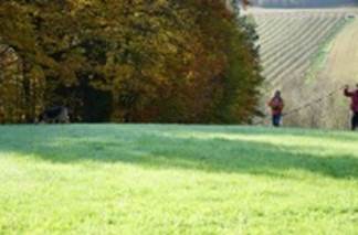 Beschreibung: Ein Bild, das drauen, Feld, Baum, Grasland enthlt.

Automatisch generierte Beschreibung