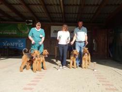 Ein Bild, das Person, Hund, Geb�ude, Kleidung enth�lt.

KI-generierte Inhalte k�nnen fehlerhaft sein.
