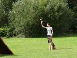 Ein Bild, das Gras, drau�en, Baum, Person enth�lt.

KI-generierte Inhalte k�nnen fehlerhaft sein.
