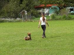 Ein Bild, das Gras, drau�en, Rasen, Person enth�lt.

KI-generierte Inhalte k�nnen fehlerhaft sein.
