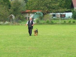 Ein Bild, das Gras, drauen, Hund, Baum enthlt.

KI-generierte Inhalte knnen fehlerhaft sein.