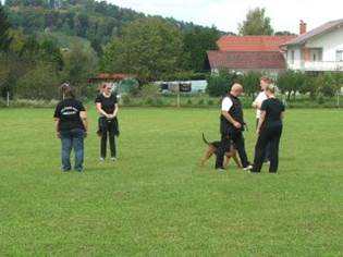 Ein Bild, das Gras, drauen, Person, Hund enthlt.

KI-generierte Inhalte knnen fehlerhaft sein.