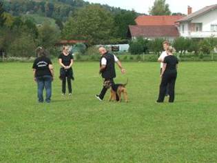 Ein Bild, das Gras, drauen, Person, Hund enthlt.

KI-generierte Inhalte knnen fehlerhaft sein.