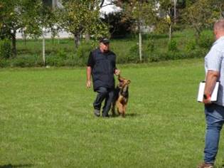 Ein Bild, das Gras, drauen, Hund, Person enthlt.

KI-generierte Inhalte knnen fehlerhaft sein.