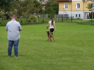 Ein Bild, das Gras, drauen, Person, Rasen enthlt.

KI-generierte Inhalte knnen fehlerhaft sein.