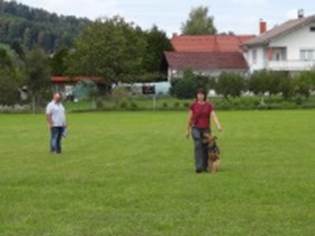 Ein Bild, das Gras, drauen, Haus, Rasen enthlt.

KI-generierte Inhalte knnen fehlerhaft sein.