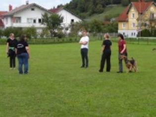 Ein Bild, das Gras, drauen, Person, Rasen enthlt.

KI-generierte Inhalte knnen fehlerhaft sein.