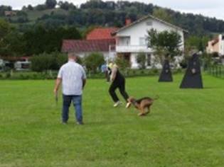 Ein Bild, das Gras, drauen, Rasen, Baum enthlt.

KI-generierte Inhalte knnen fehlerhaft sein.