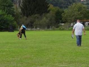 Ein Bild, das Gras, drauen, Baum, Feld enthlt.

KI-generierte Inhalte knnen fehlerhaft sein.