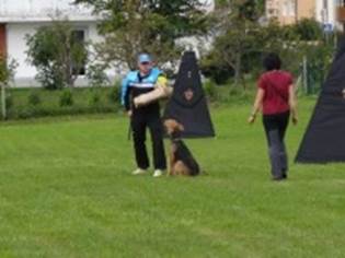Ein Bild, das Gras, drauen, Person, Baum enthlt.

KI-generierte Inhalte knnen fehlerhaft sein.