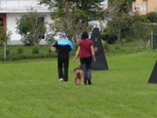 Ein Bild, das Gras, drauen, Baum, Rasen enthlt.

KI-generierte Inhalte knnen fehlerhaft sein.