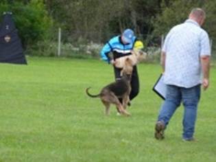 Ein Bild, das Gras, drauen, Person, Baum enthlt.

KI-generierte Inhalte knnen fehlerhaft sein.