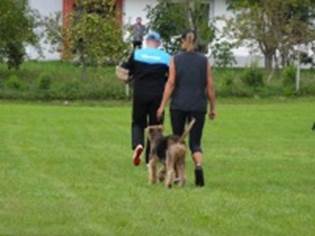 Ein Bild, das Gras, drauen, Person, Baum enthlt.

KI-generierte Inhalte knnen fehlerhaft sein.