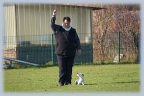 Ein Bild, das Gras, drau�en, Person, Geb�ude enth�lt.

KI-generierte Inhalte k�nnen fehlerhaft sein.