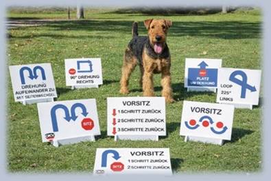 Ein Bild, das Text, Gras, drau�en, Hunderasse enth�lt.

KI-generierte Inhalte k�nnen fehlerhaft sein.